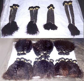 Human Hair