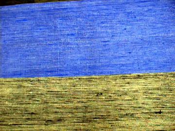 Silk Fabrics - 2 Ply