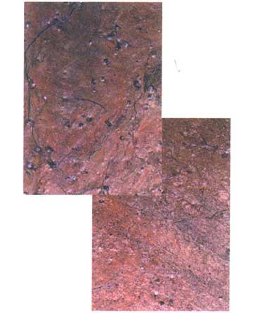 Slate - Copper