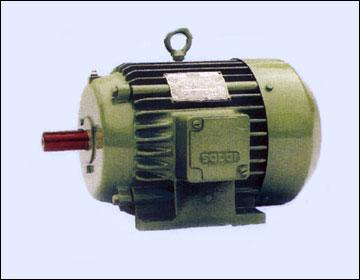 AC Induction Electric Motor