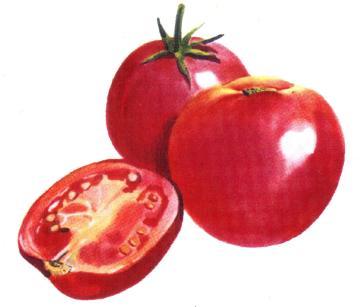 Wooden Vegetables