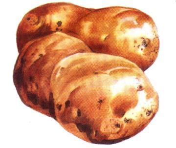 Wooden Vegetables