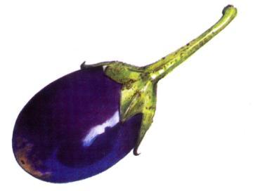 Wooden Vegetables