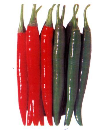 Wooden Vegetables