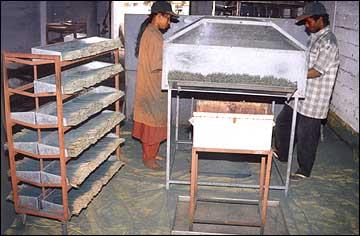 Hand Daubing In Process