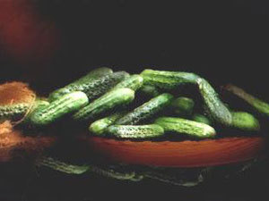 Gherkins Preserved In Brine
