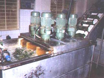 Gherkins Being Washed With The Latest Machinery