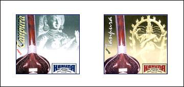 Tanpura Strings - Steel 0.028-0.032 in Gauge, Polished Finish | Durable, Resonant, Precise Tuning