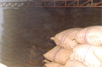 Food Products - Pork, Bulk Packaging, Refrigerated | High Protein, Natural Source, Delicious Taste, Easy To Cook, Versatile Use