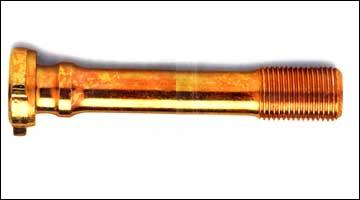 Brass Carriage Bolts
