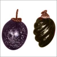 Christmes Hanging Egg Shaped Crack/Silver Coated & Shell Shaped Silver Coated