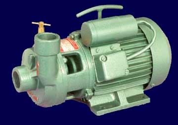 Domestic Monoblock Pumps