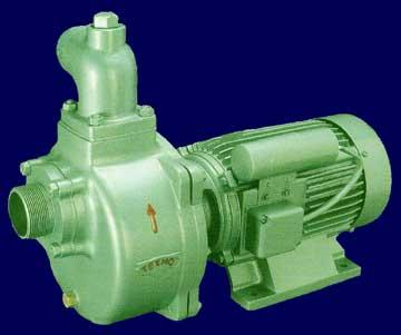Monoblocks Centrifigual Pumps
