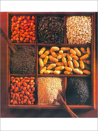 Seeds & Oil Seeds like - Sesame Mustard Ground Nut Safflower etc.