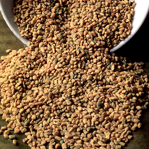 Fenugreek Seed - High Quality Herbal Seeds, Premium Nutritional Value and Natural Health Benefits