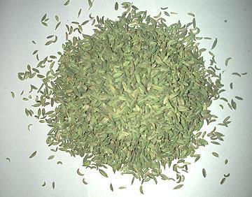 Fennel Seed (Foeniculum Vulgare)