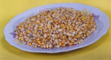 Maize