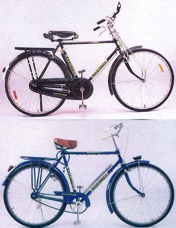 Raleigh Type Gents Roadster