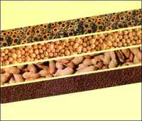 Vegetable Oil Refining Plants