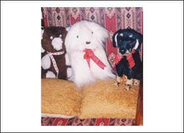 Cushion Covers, Soft Toys