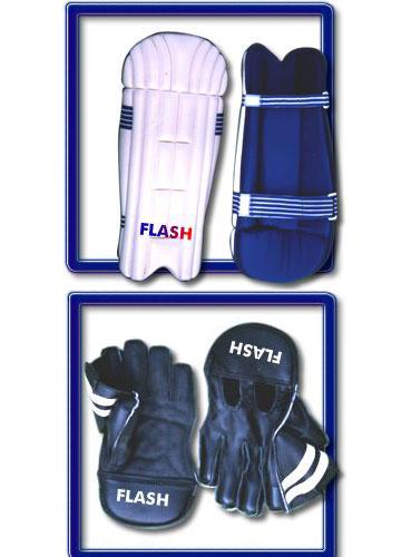 Cricket wicket-keeping Leg Guards & Gloves