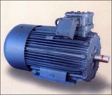 LT Flame Proof Motors