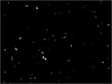 BLACK GALAXY GRANITE