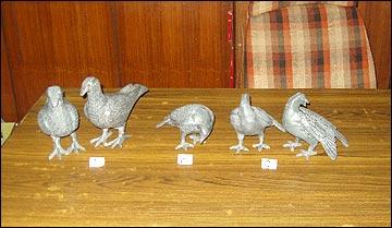 Birds