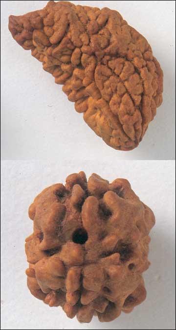 Mukhi