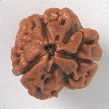 Mukhi