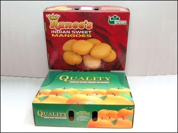 Export Cartons for Fruits