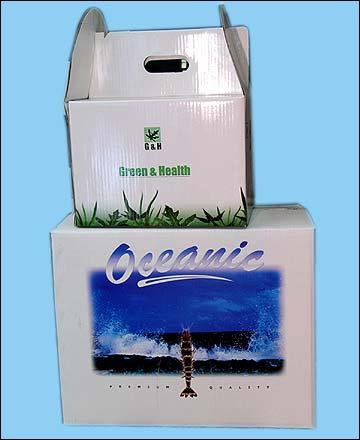 Multi colour duplex cartons