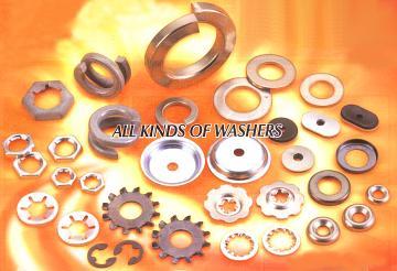 Special Washers