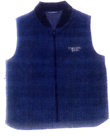 Garment 1