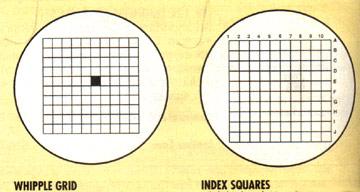 Grid Scales
