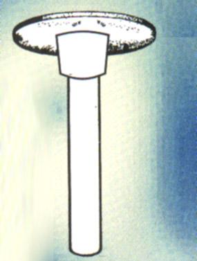 TOTAL OSSICULAR REPLACEMENT PROSTHESIS: (TORP)