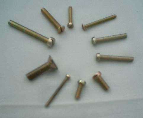M.S. Screws