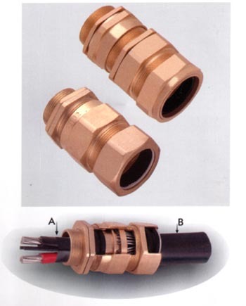 E1W Glands
