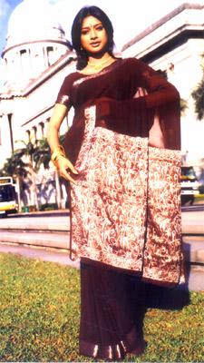 Fancy Synthetic Saree with Pallu/Border