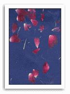 Rose Petal Paper