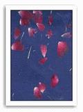 Rose Petal Paper