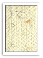 Textured Paper