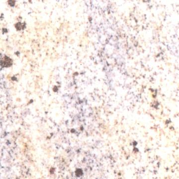 Granite - Kashmir