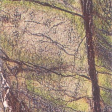 Marble - Bidasar Green