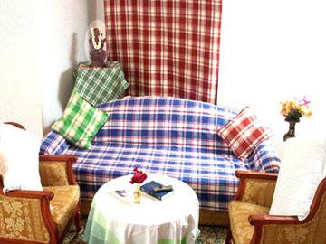 Curtain & Sofa Cover