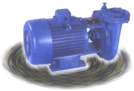 Monoblock Pumpset