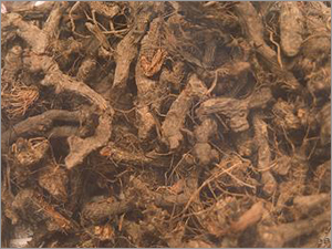 Nagar Motha Oil