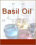 Basil Oil