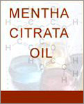 MENTHA CITRATA OIL
