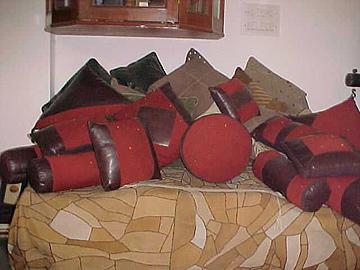 Leather Garment